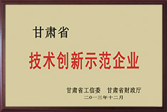 甘肅省技術創(chuàng)新示范企業(yè)